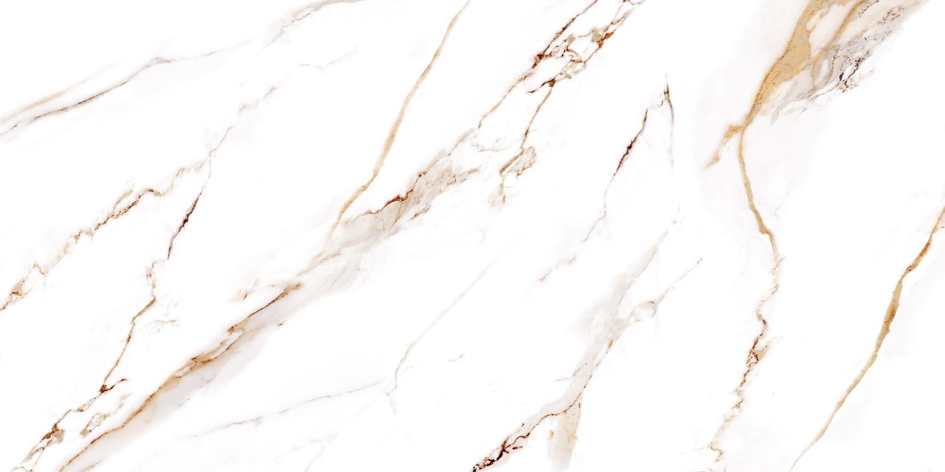 CALACATTA D`ORO - PR 513007 - | 56 x 113